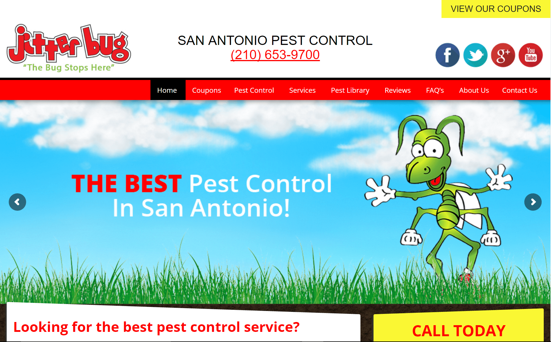 Jitterbug Pest Services